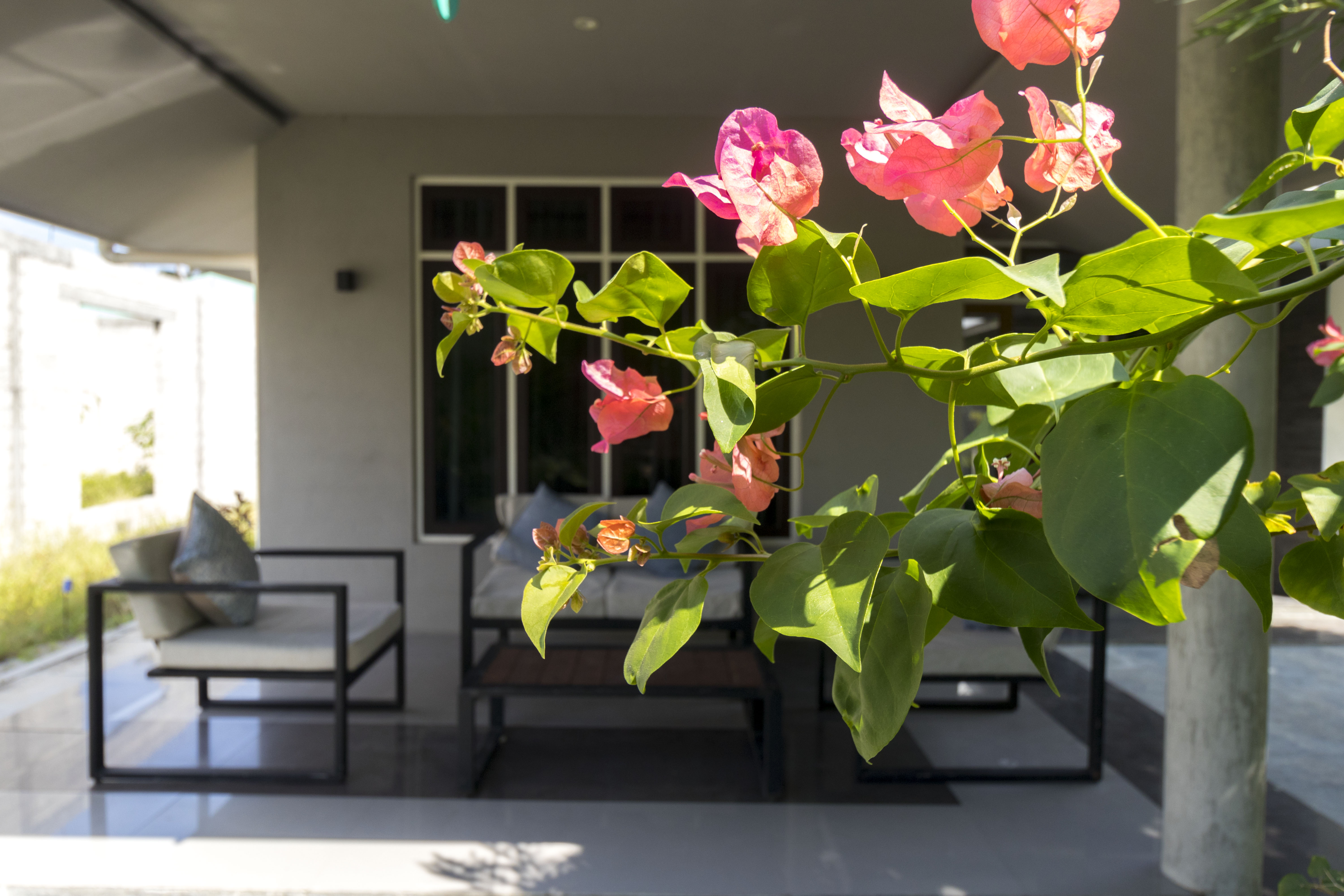 Escape to Tranquility: A Stay at Hawks Hotel