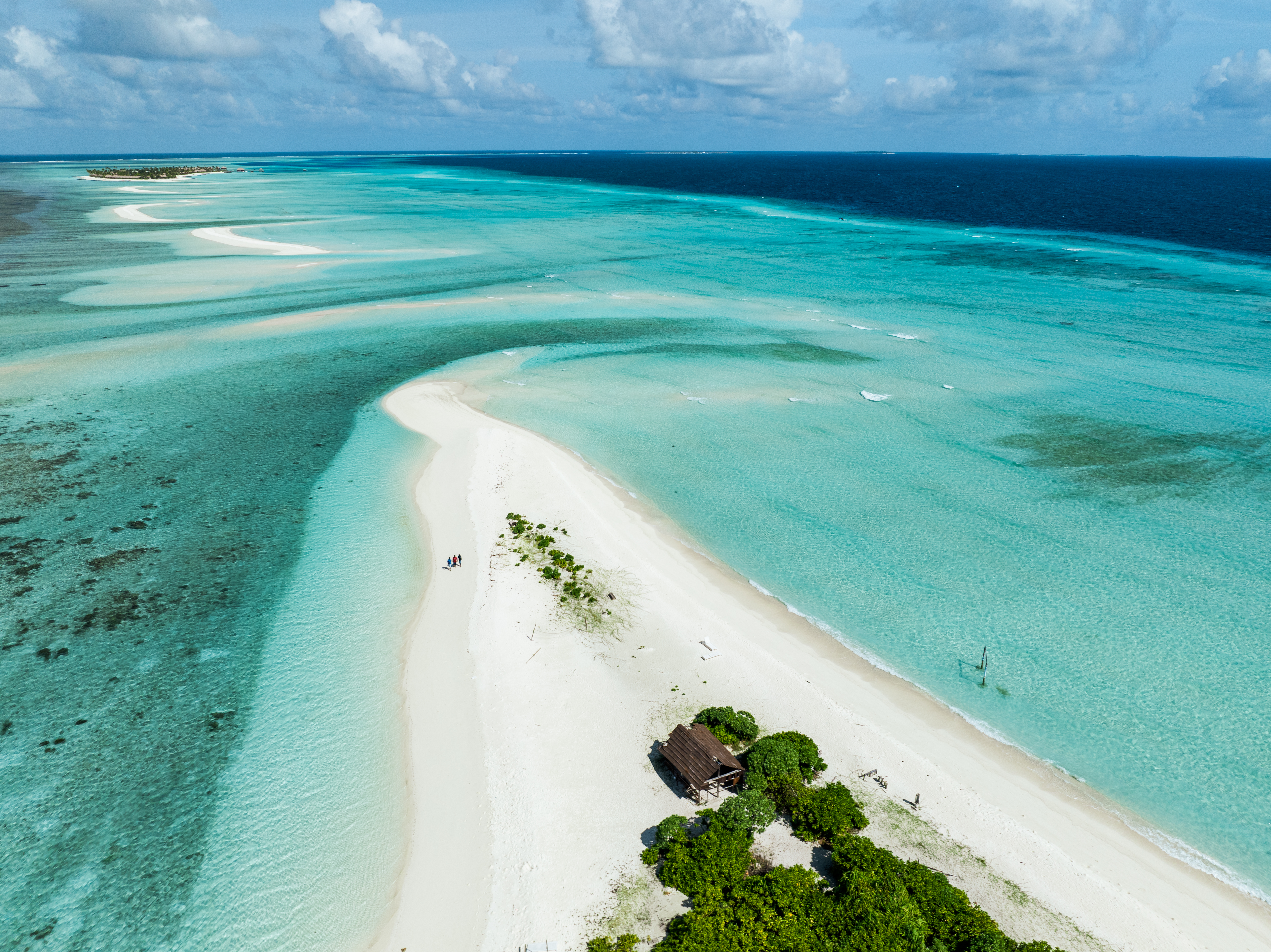 Escape to Tranquility: A Stay at Whale Shark Boutique Hotel