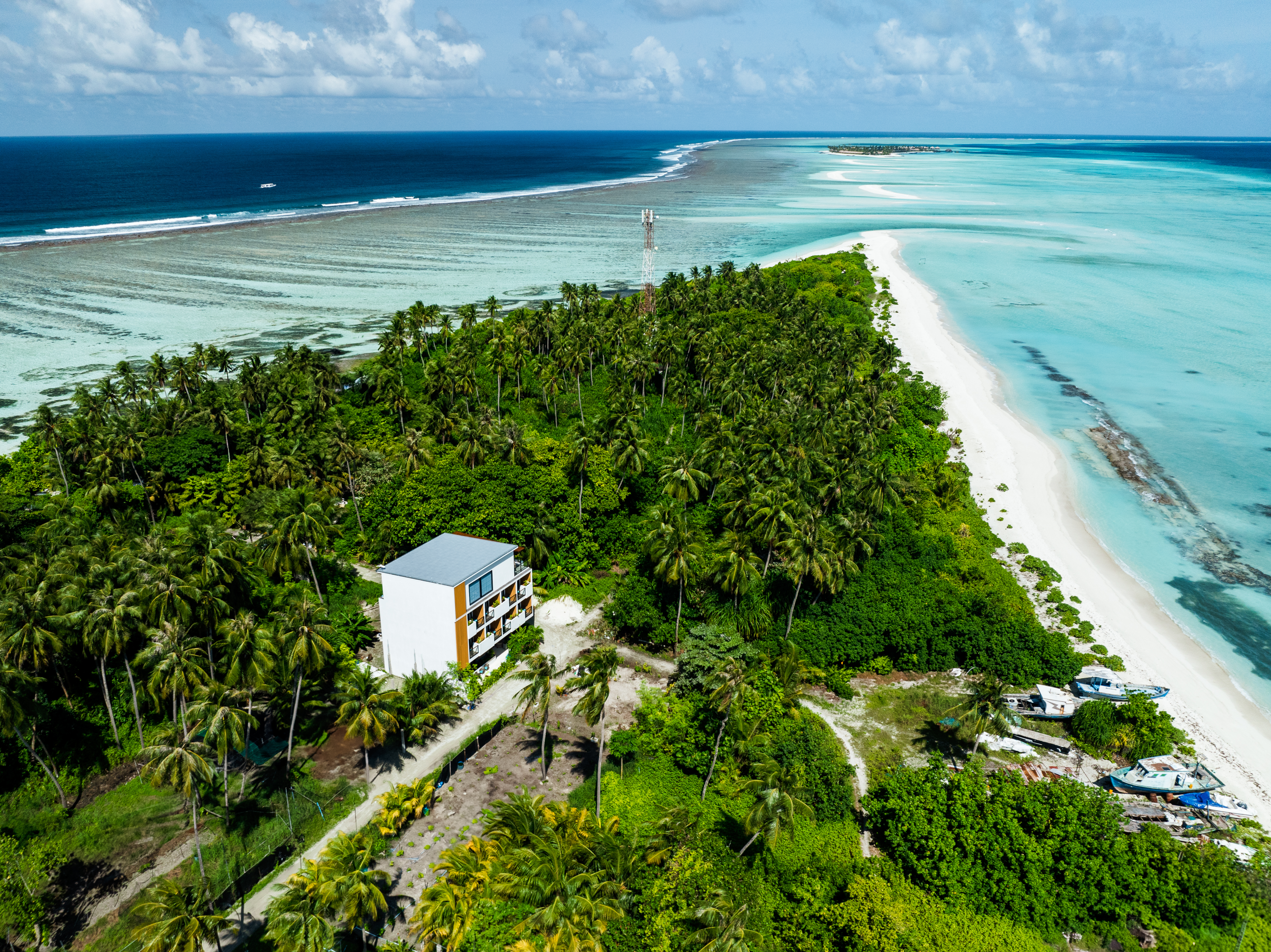 How to Get to Fenfushi : Your Journey to whale shark capital of Maldives