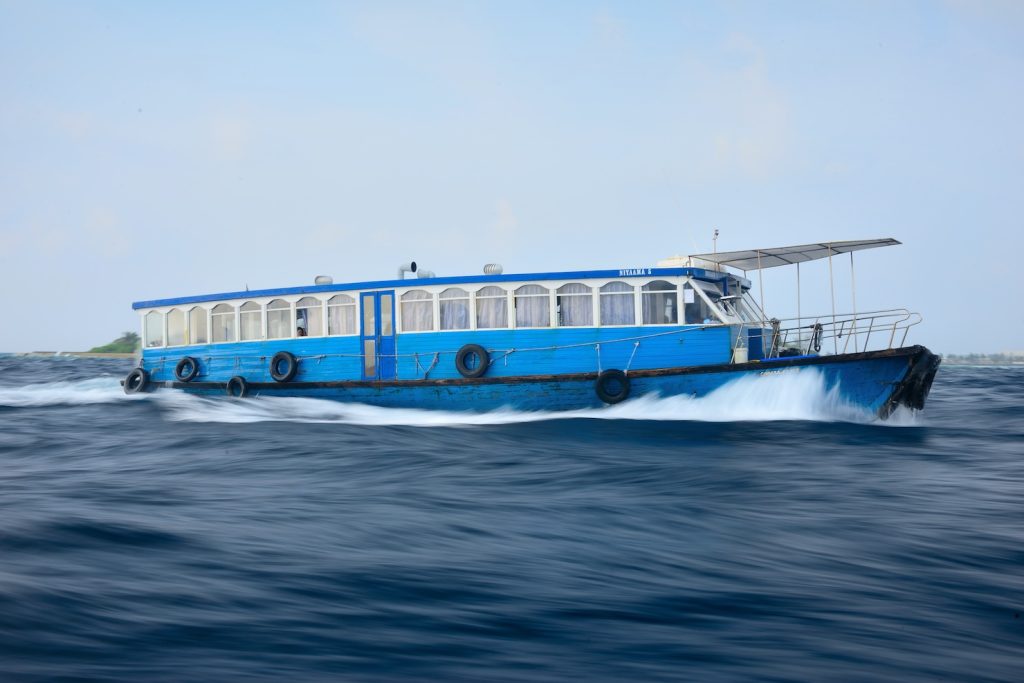 How to Get to Fenfushi : Your Journey to whale shark capital of Maldives