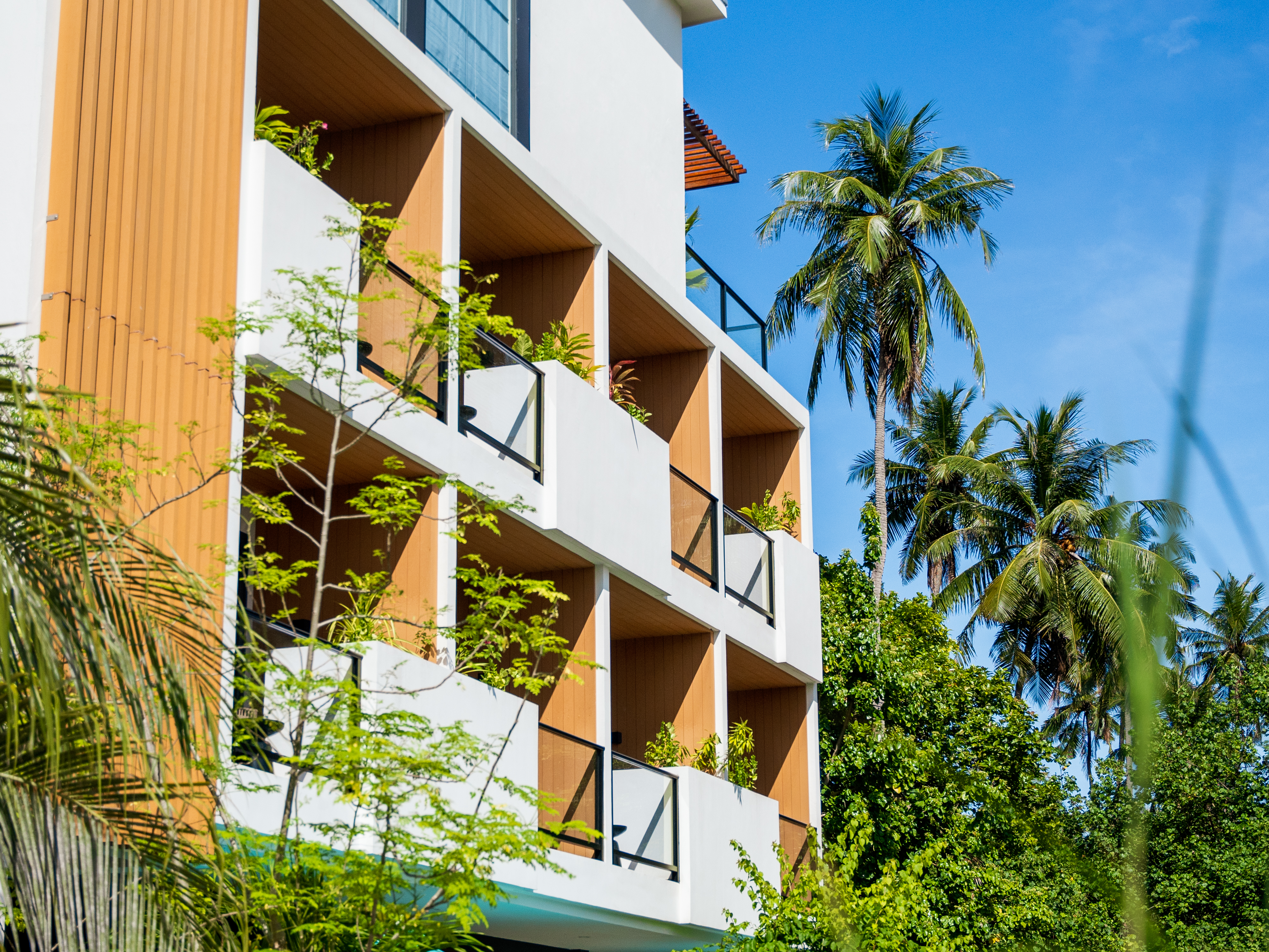 The Best Time to Travel to the Maldives – An Affordable Paradise Awaits