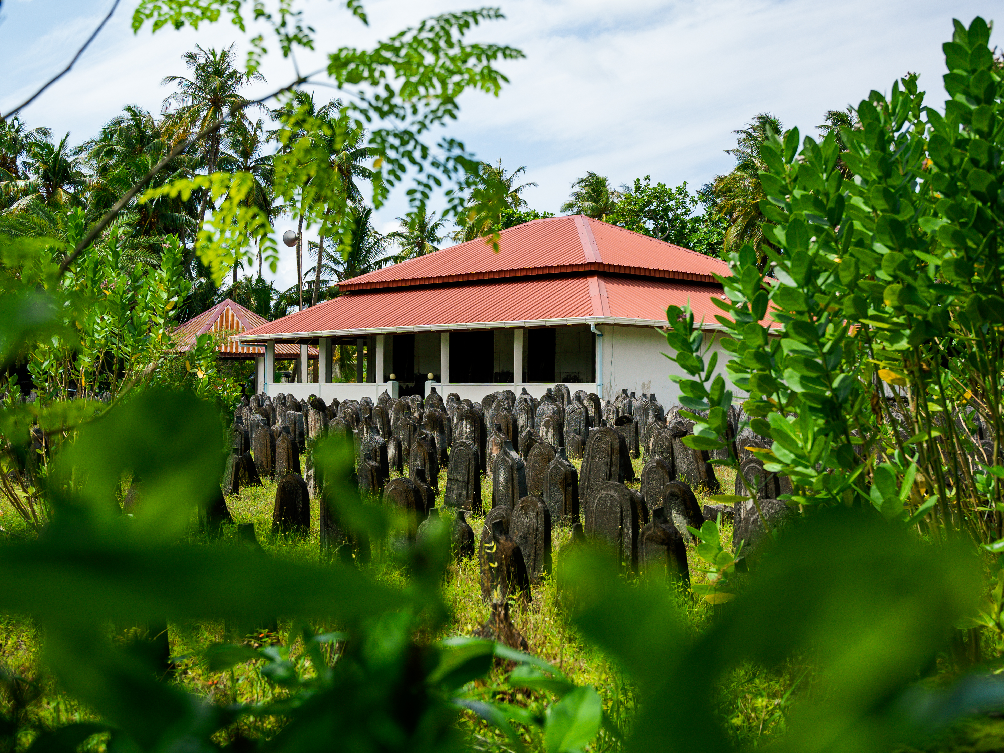 Fenfushi - Main View