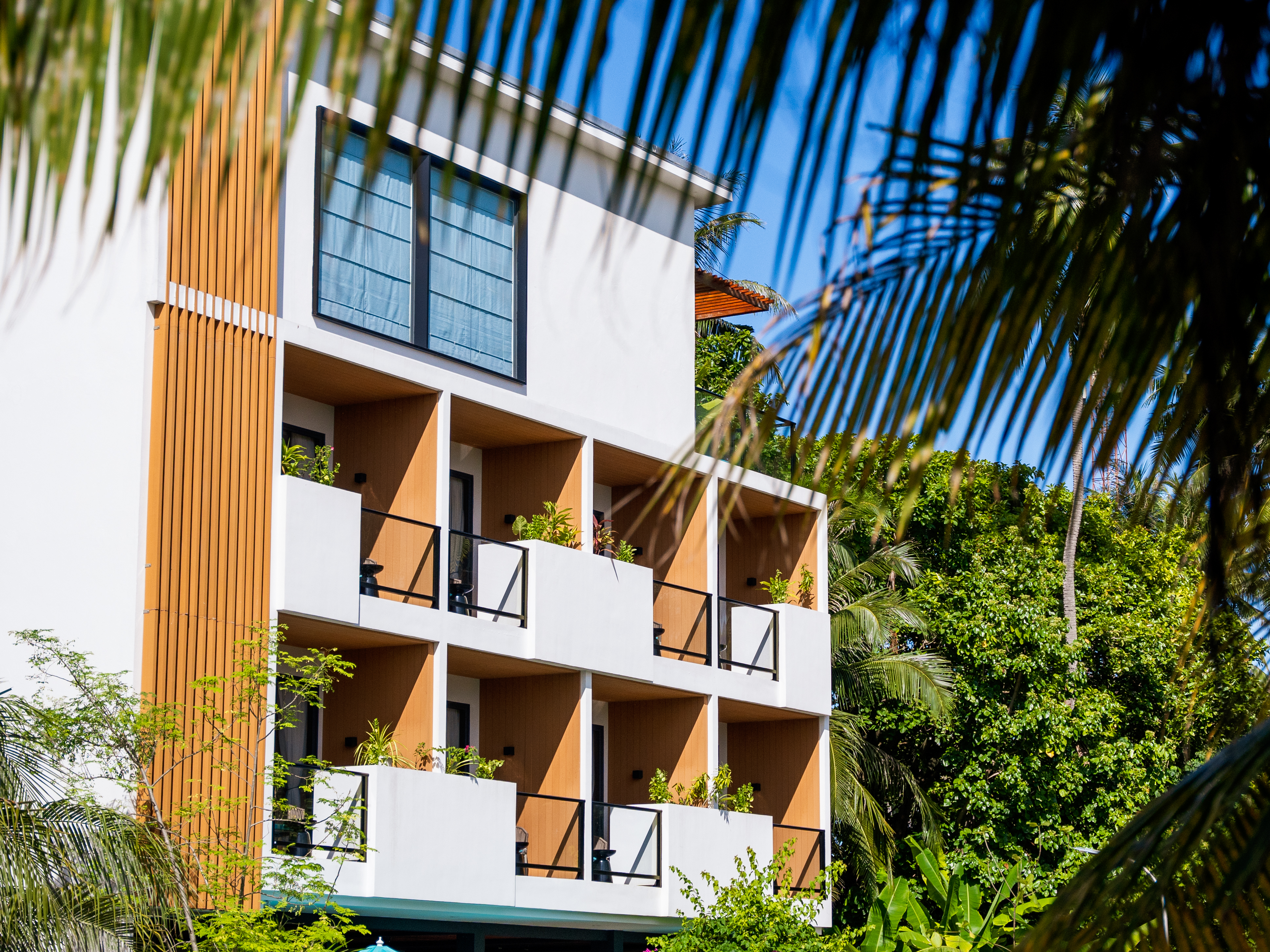 Whaleshark Boutique - Image 1