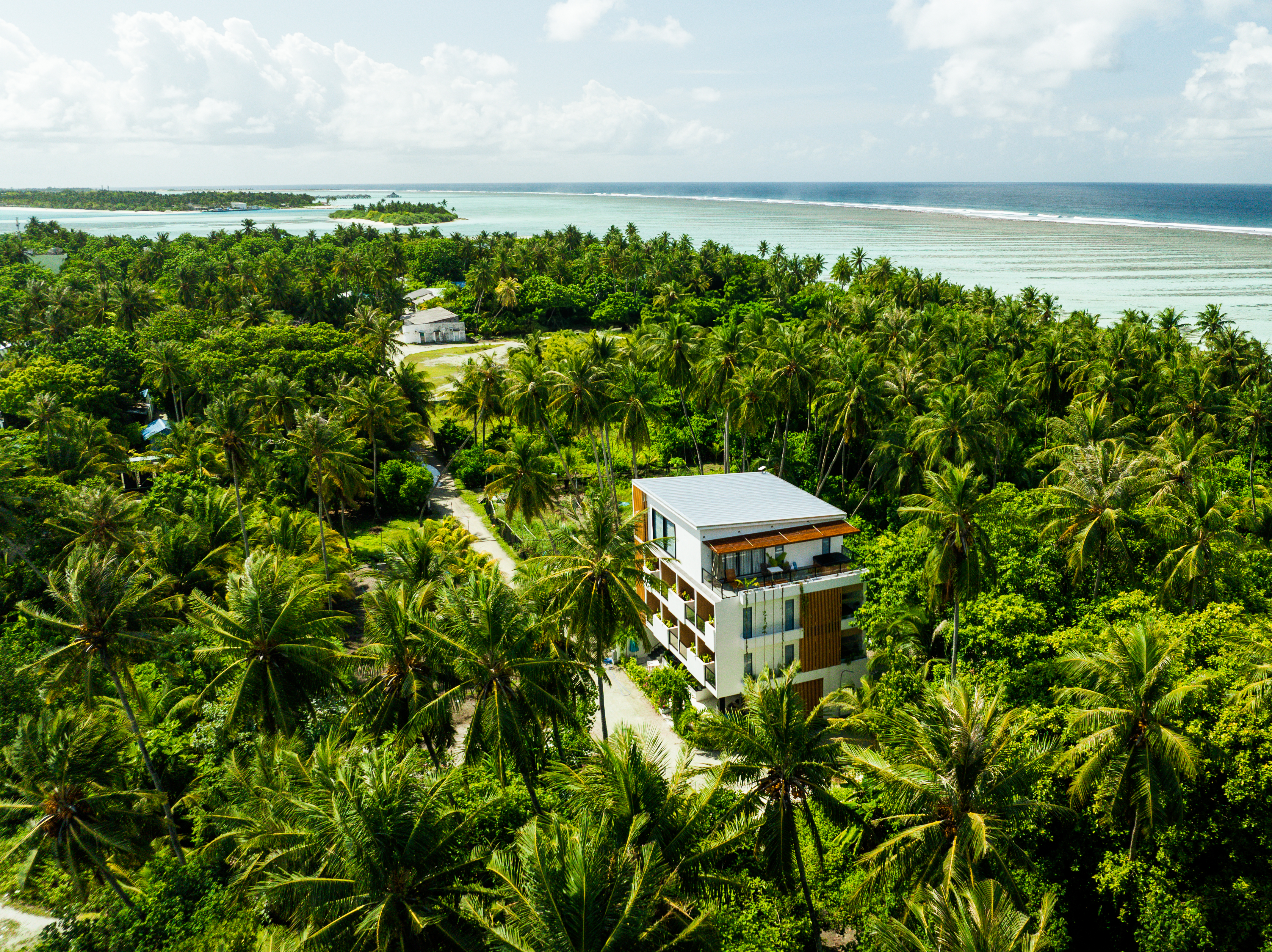 Whaleshark Boutique - Image 6