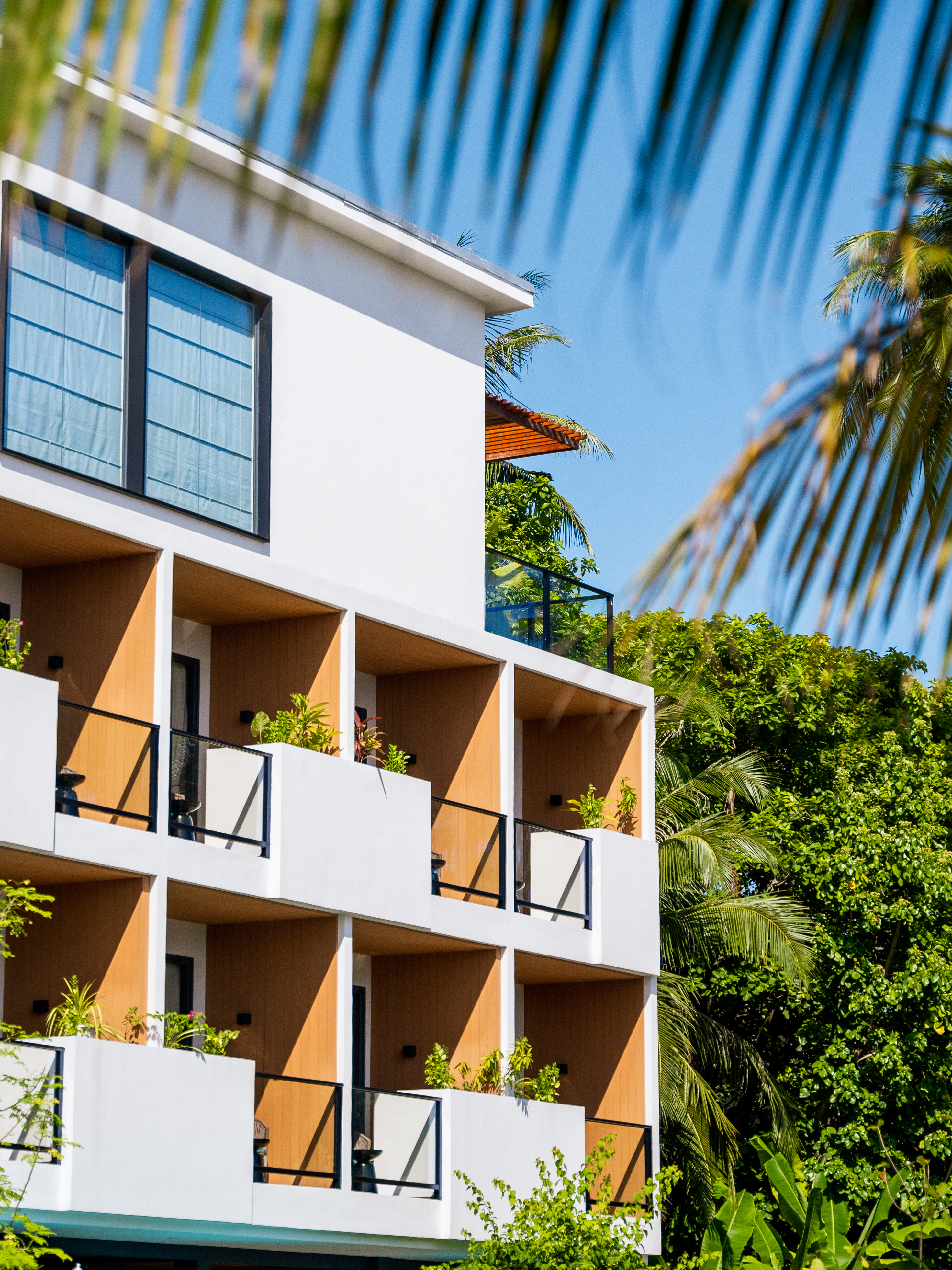 Two Bedroom Penthouse - 1